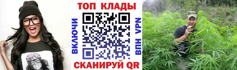 Все наркотики Светогорск ГАШИШ  Cocaine  Меф мяу мяу 