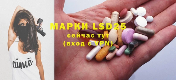 молекула духа Аркадак