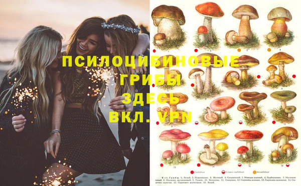 кокаин колумбия Михайловск