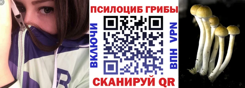 Галлюциногенные грибы мухоморы  Светогорск 